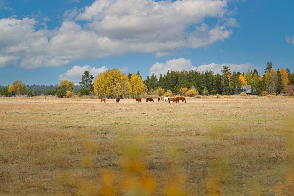 Coyote - Unit 15 Villa Sunriver Buitenkant foto